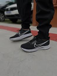 Air Zoom Pegasus