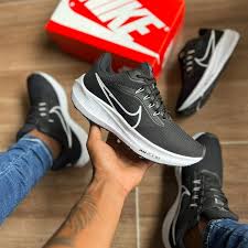 Air Zoom Pegasus